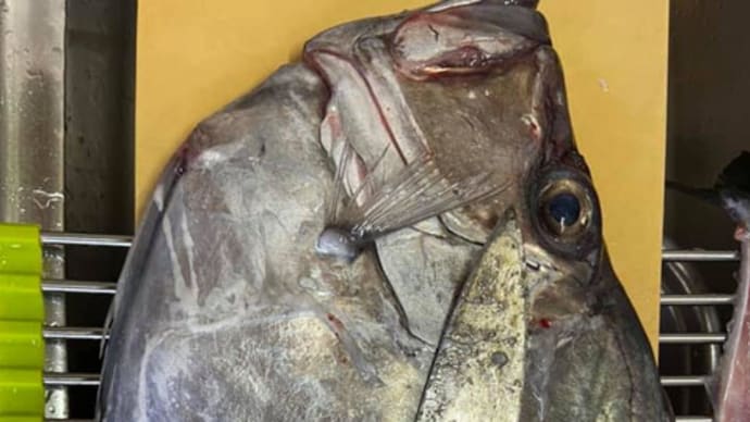 あれってそれって何だっけ ~ 肝の旨い魚