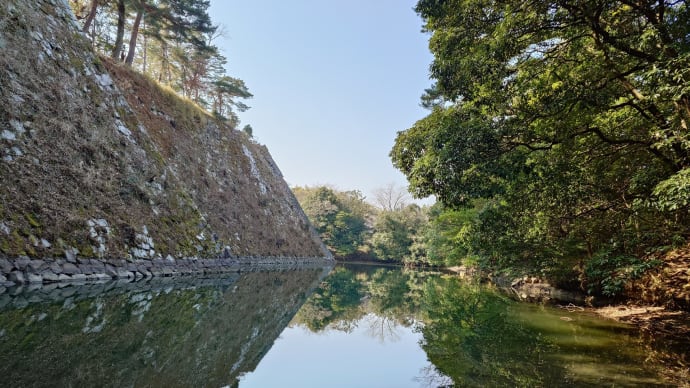 伊賀上野城のお堀ちょっと冒険、湧水が少ないので…