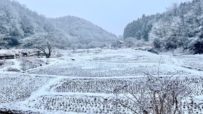 都心から90分！東京の里山で雪景色