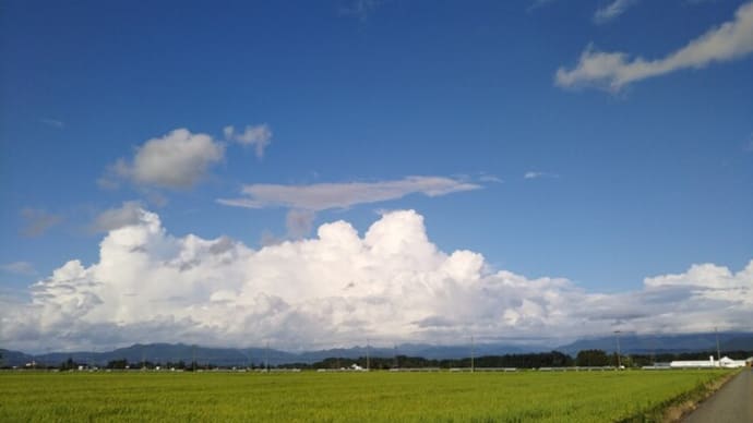 太陽も一人ぼっちで沈んでいく~ The Boys Of Summer ・甘い囁き・D'URBAN‐Don Henley-Alain Delon