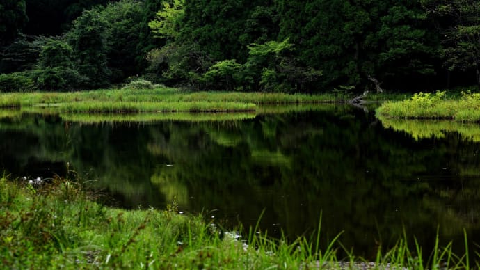 初秋の平池 (ビラデスト今津)