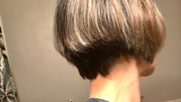 前下がりボブで5年染めなくなって1年
