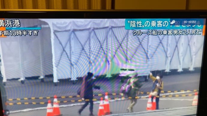 豪州帰国後に感染判明 それでも本日450人下船
