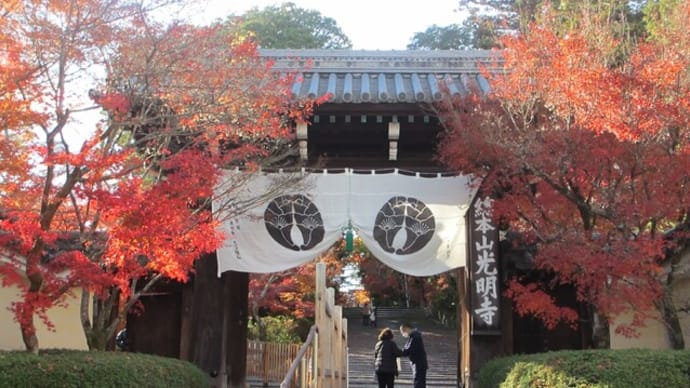 光明寺の紅葉～京都　西山