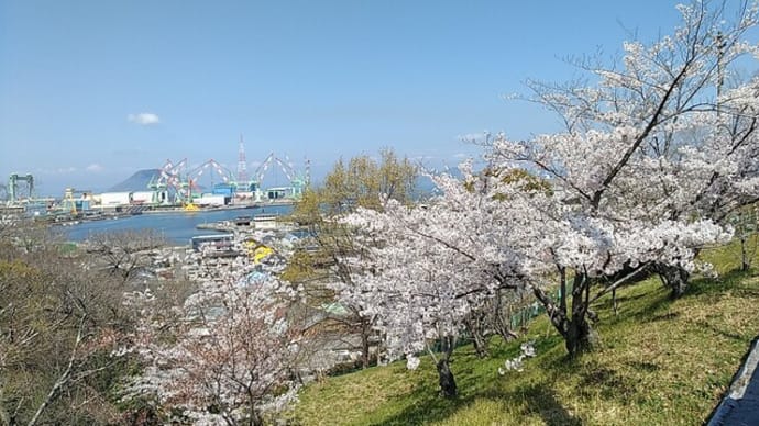 花見に行った・・・