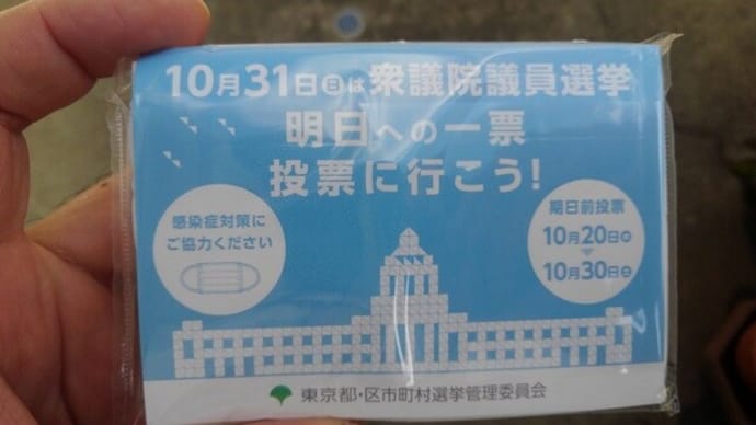 期日前投票に行って来ました