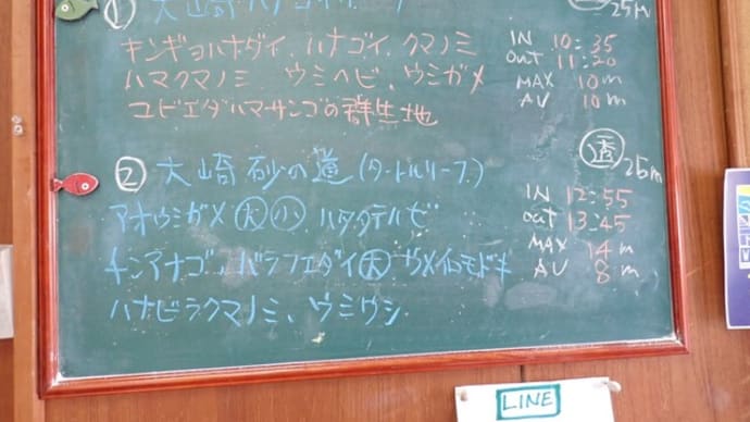 20241130ダイビングログ