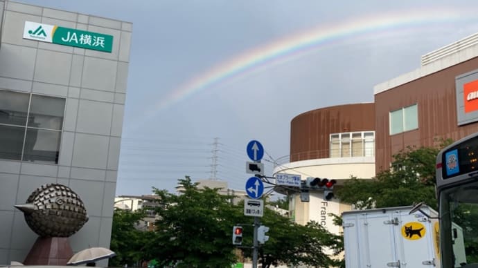 久しぶりで 虹に遭遇。