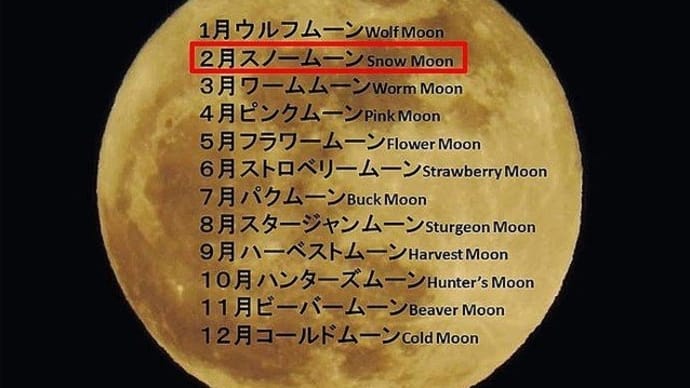 今夜は満月ですね~🌕
