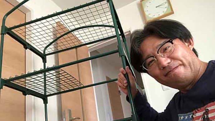 マンゴスチンちゃんの簡易ビニルハウスセット!