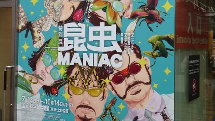 【イベントレポ】昆虫maniacに行って来ました