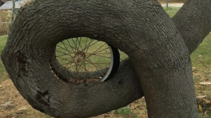 一枚の写真『巻き込まれるから巻き込むへ』