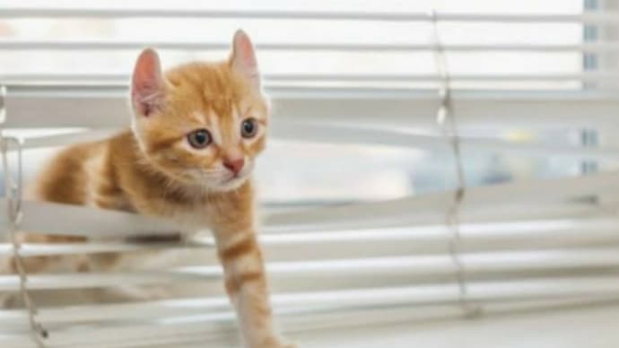 今日も1日お疲れ様です😌💓