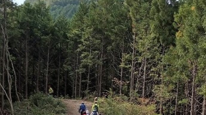 グループわらじ 第580回徒歩定例会 太白山ウォーク