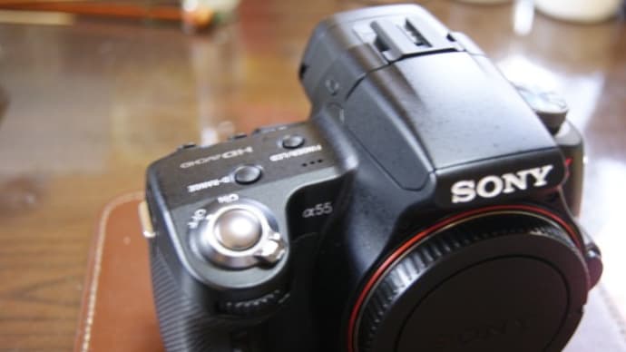 中古のSONY α55を買いました　植物園で撮ってみました