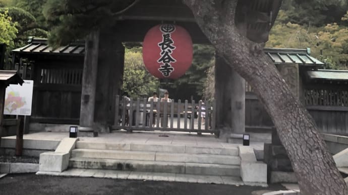 長谷寺(長谷)