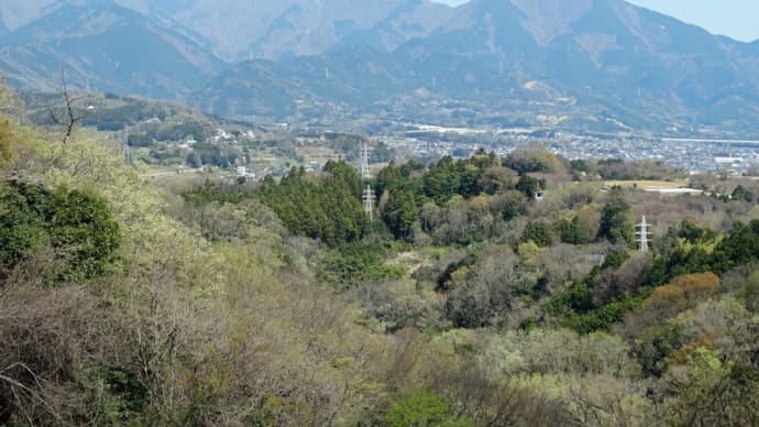 渋沢丘陵(頭高山~八国見山~震生湖)【神奈川県】