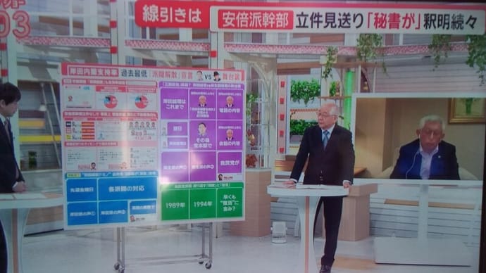 「泉さん」その通りだと思う!・・・「正直な人だ!」・・・クリーンな状態であれば、将来、首相になってもらいたい!。