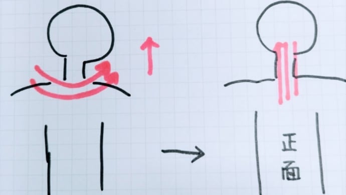 【ボディー】自然療法はあなたの本音をサポートしてくれます