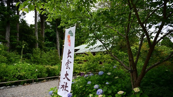 ◆国吉神社・出雲大社、国吉駅で紫陽花（いすみ市）