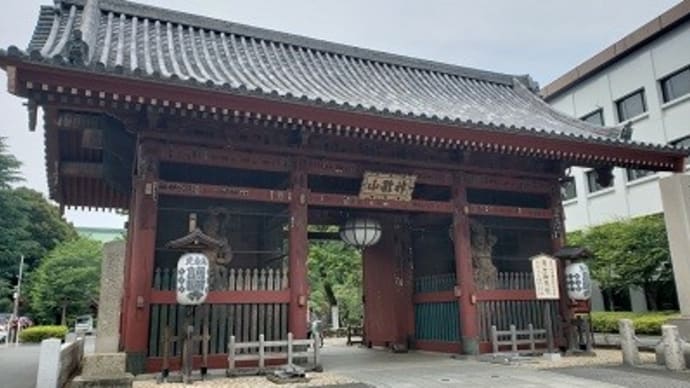 護国寺参拝(R4.6.20)