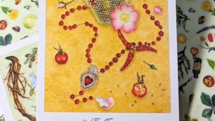 The Empress( ROSE )