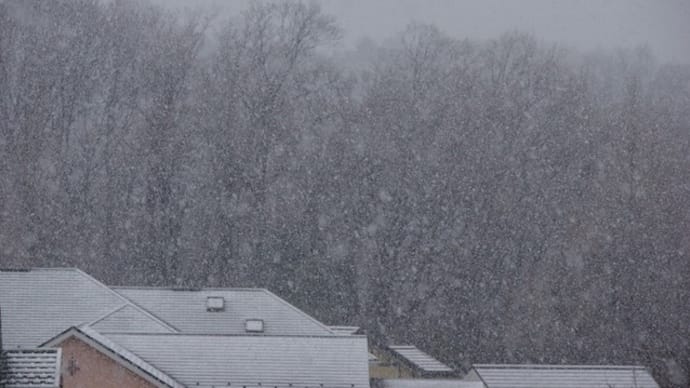 名残雪