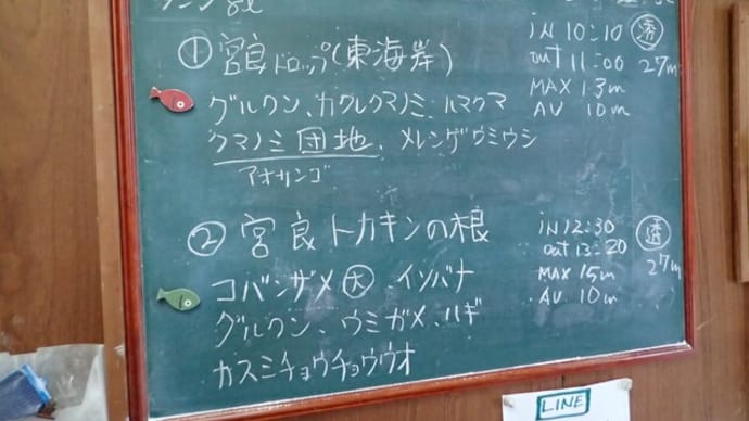20220502ダイビングログ