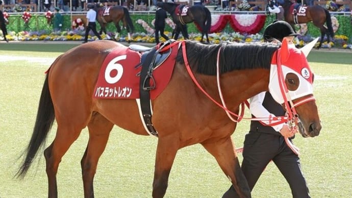 【バスラットレオン】前回以上の状態で22日にトレセン帰厩!