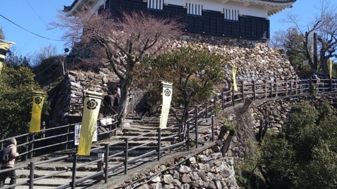 岐阜城と犬山城、そして石井の桜〈英訳付〉