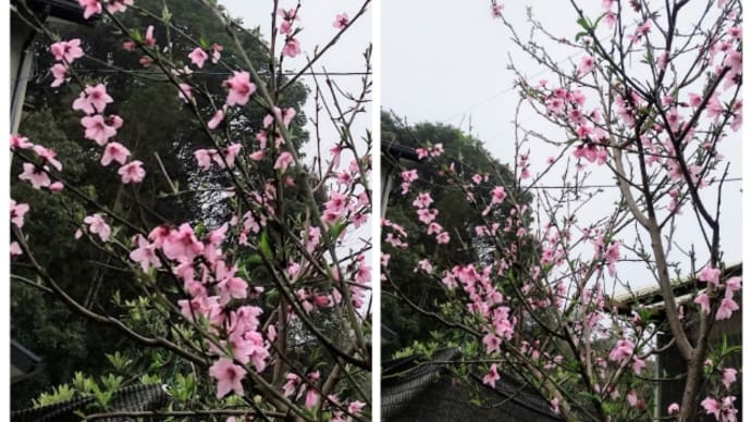 つくせり完成! 土曜日Aクラス(3月後半) ① どんどん続くわよ❗️