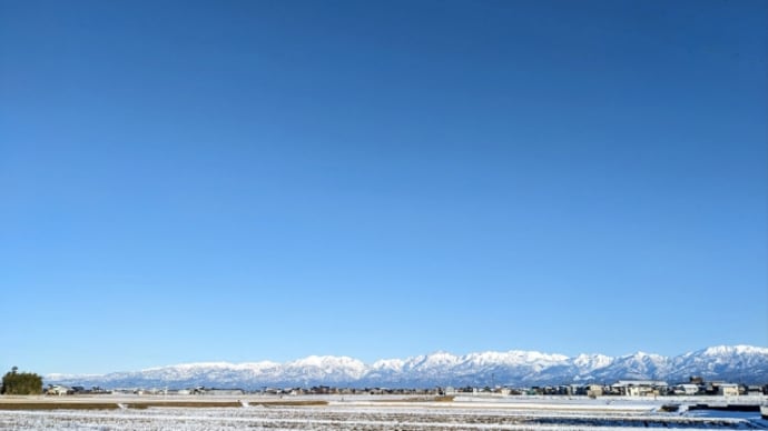 啓翁桜と立山連峰