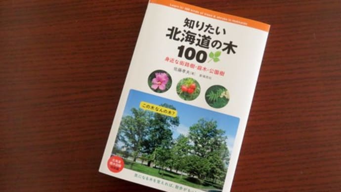 札幌・街の一コマ　：　エゾムラサキツツジ＜札幌にて春花を楽しむ＞