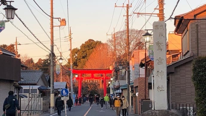【埼玉-鷲宮神社】初詣は早めの行動が吉~!! と思いきや!?