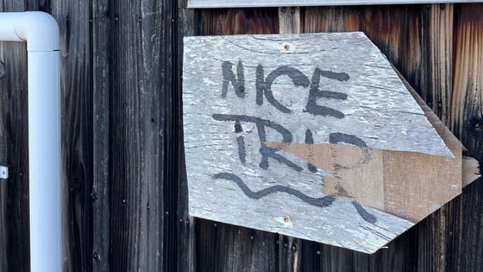 NICETRIP
