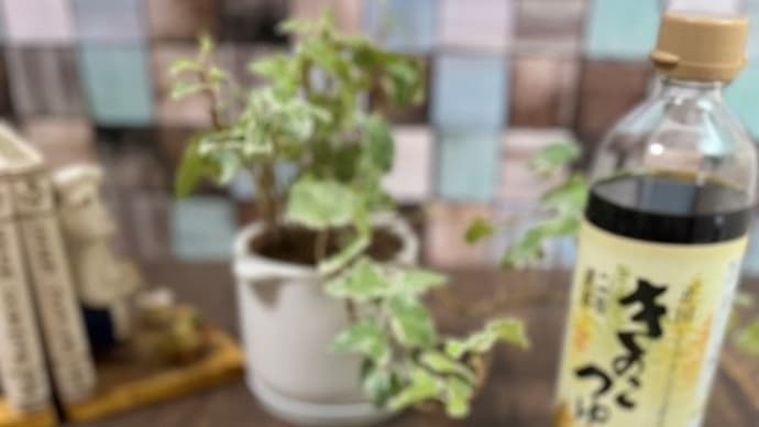 正田きのこつゆで旨み濃厚!きのこたっぷり鶏じゃが