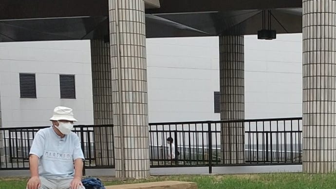 ひまわり広場