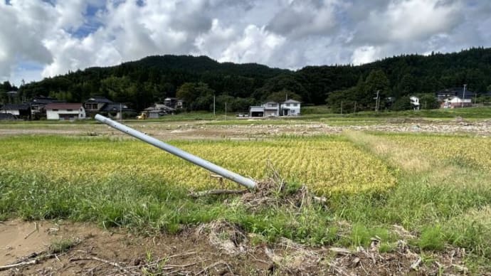 田んぼには石・流木・土砂。。