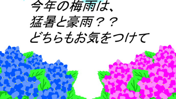 外国人の国保とビザ更新(がいこくじんのこくほとビザこうしん)