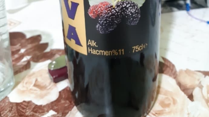 今日は、フルーツワインを飲んでます。