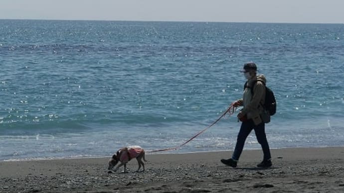クリニックに行ってきました。