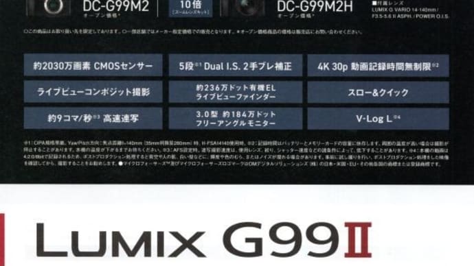 ミラーレス一眼カメラデビュー。パナソニック「LUMIX DC-G99M2H 高倍率ズームレンズキット」を購入。