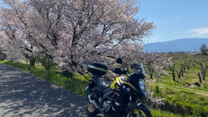 岐阜県 根尾谷淡墨桜~徳山ダム方面