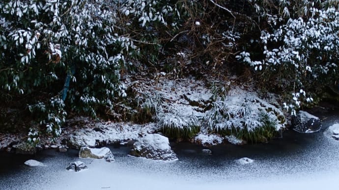 川の雪景が美しく・・・・!!