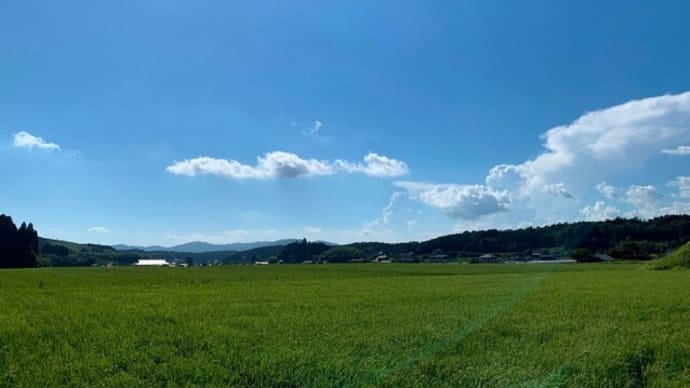 烏帽子ヶ岳ウッドパークキャンプ場