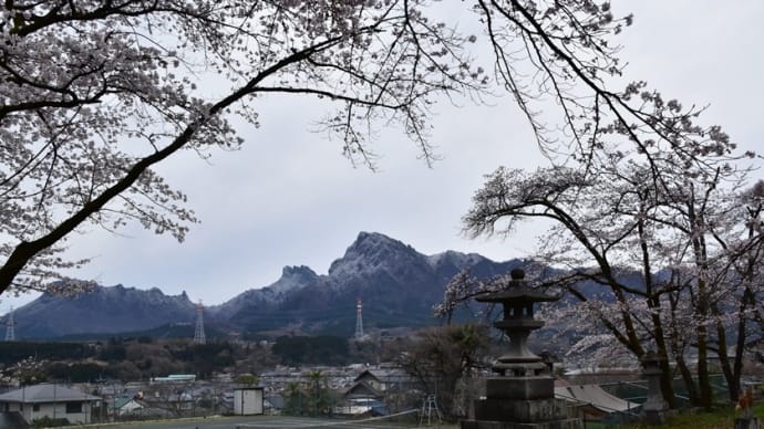 4月1日は寒の戻り・・・