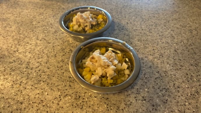 犬ごはん:MARNIが食べると安心する
