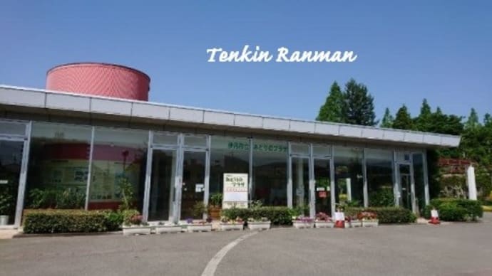 一人ランニング 荒牧バラ公園 *兵庫 伊丹*