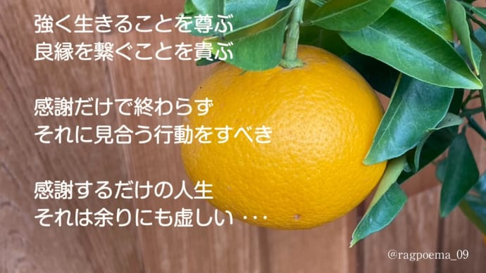 感謝 / ラグの写真詩