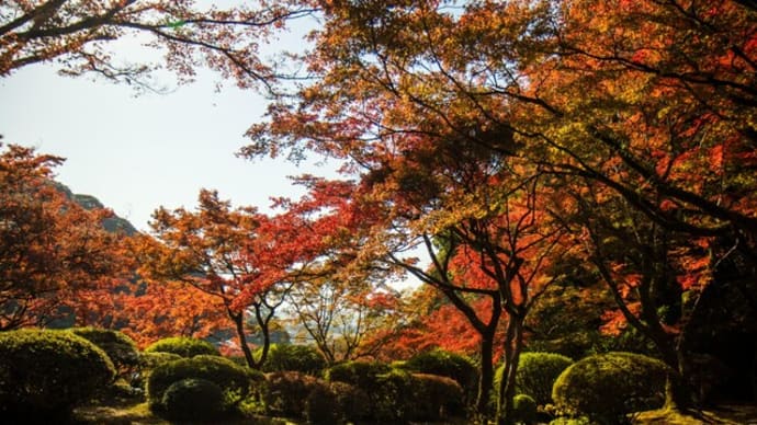 佐賀県の九年庵（日本庭園）に行きました